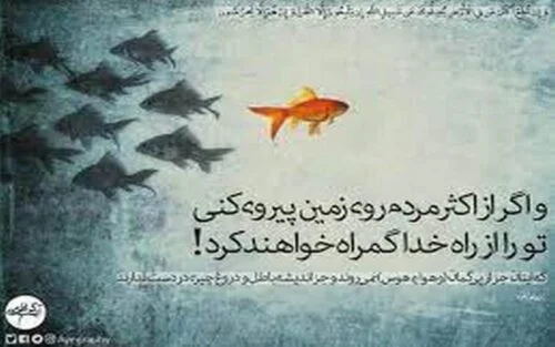 آیه گرافی انعام 116